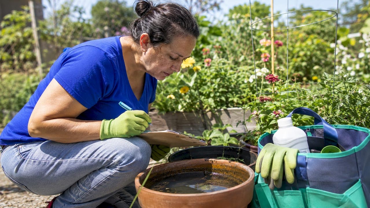 Community Mosquito Control Benefits for Healthier Neighborhoods